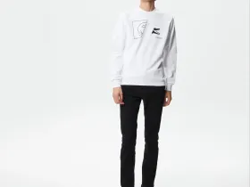 Мужской хлопковый свитшот Lacoste с круглым вырезом и принтом