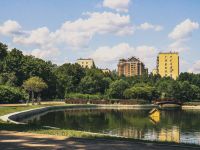 Парк «Дубки»