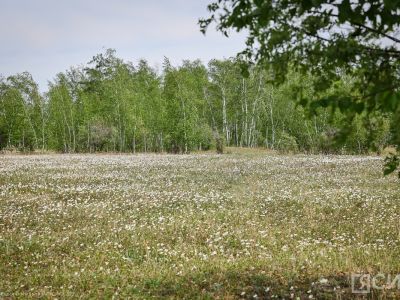 Когда обращаться к врачу после укуса насекомого