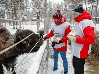 «Таас-Юрях Нефтегазодобыча» поможет бизонам в Якутии
