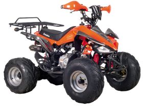 Квадроцикл ABM Scorpion 125A