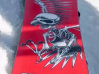 Сноуборд K2 PARTY PLATTER X TONY HAWK X BIRDHOUSE 21/22