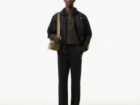 Мужское поло Lacoste L.13.12 классического кроя с длинным рукавом