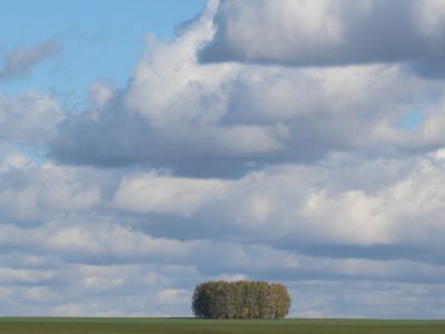 Священная роща