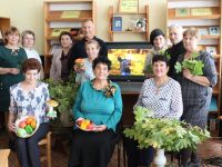 Центральная библиотека р. п. Земетчино