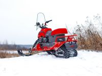 Снегоход IRBIS Dingo T150