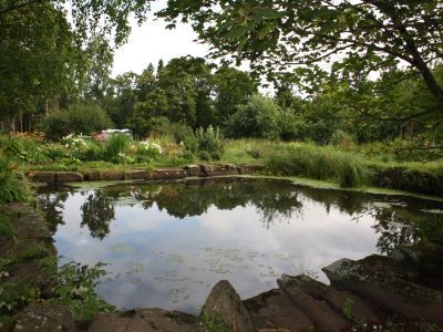 Водоем в саду