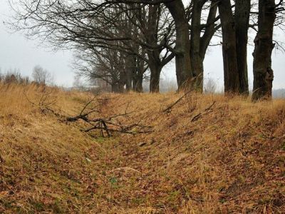Усадьба Лопухиных "Савинское": - парк