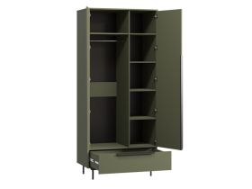 Распашной шкаф Квелен 2-96x220 Оливковый