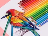 Набор карандашей акварельных Brutfuner 180 цв., деревянные, заточенные, в пластиковом чемодане на кн