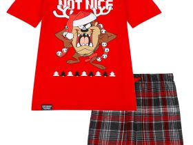 Комплект для мальчиков: фуфайка (футболка) трикотажная, шорты текстильные