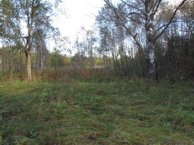 Родина Героя Советского Союза А.С. Демкина, пропавшего без вести в 1942 г.