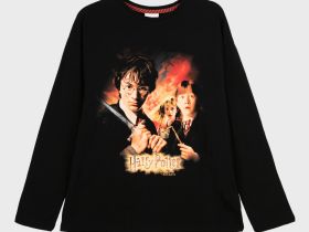 Фуфайка трикотажная для девочек (футболка с длинными рукавами)