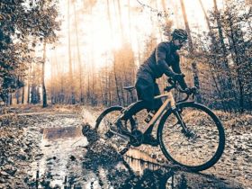 Sks Комплект крыльев SKS SpeedRocker XL 28ʺ (12034), цвет Черный