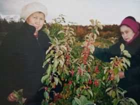 «Ранетки лежали под снегом»: история первого в Якутии яблоневого сада