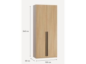 Распашной шкаф Кимбол 2-100x240 Дуб Барбера