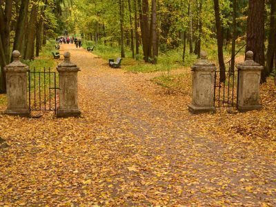 Ворота Старо-Сильвийские (трое)