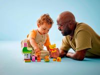 DUPLO 10457 Конструктор День рождения Винни-Пуха