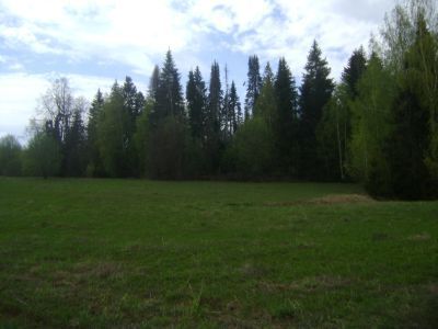 Священная роща