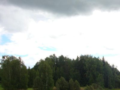 Священная роща