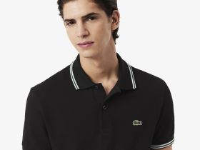 Мужское поло Lacoste из хлопка
