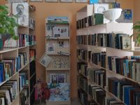 Чемская сельская библиотека