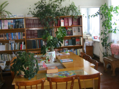 Лугоболотная сельская библиотека