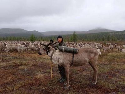 В Якутии планируют запустить фьючерсы на поставку оленей