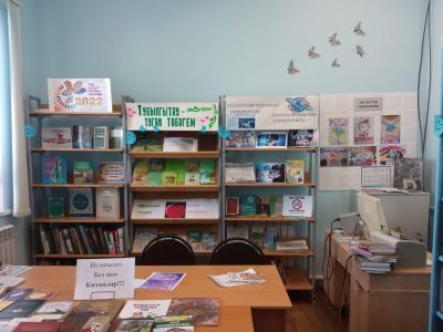 Тубылгытауская сельская библиотека