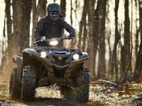 Квадроцикл YAMAHA Grizzly 700 EPS STD (ПСМ)