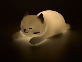 Ночник «Спящий Пуш»