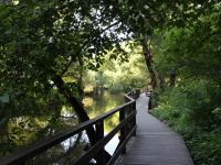 Сквер по Олонецкому проезду