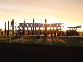 Стали известны победители конных скачек на призы главы Якутии