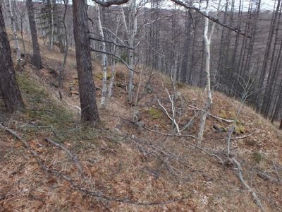 Береговая батарея 4-орудийная Сигнальная