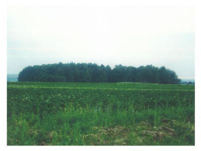 Священная роща
