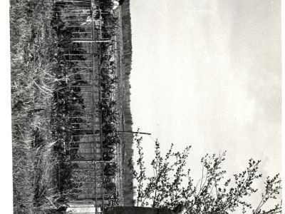 Братская могила