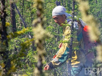 Крупный пожар в Олекминском районе Якутии удалось локализовать