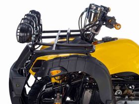 Квадроцикл TIGER Sport 250 (2024)