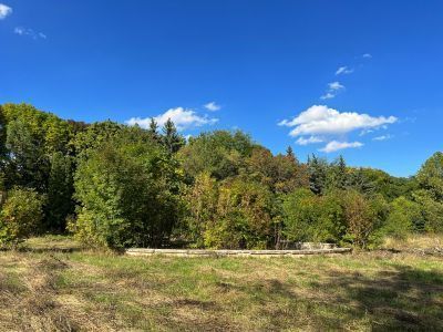 "Поющий фонтан"