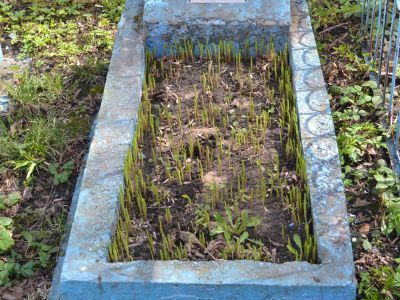 Могила заслуженного врача РСФСР и ТАССР Д.Д. Авдеева