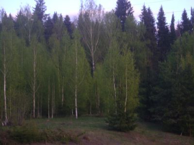 Священная роща