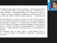 Международный вебинар "Система работы по формированию основ безопасности дорожного движения младших школьников"