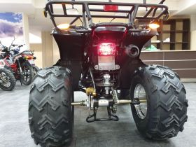 Квадроцикл RATO Hammer Premium 200