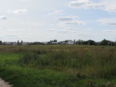 Дмитриевский луг