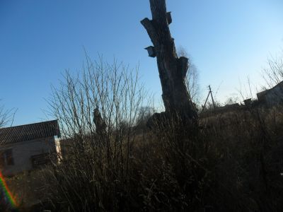 Гумно с ригой