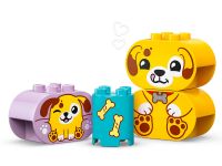 DUPLO 10441 Конструктор Сортировщик фигур: домик для щенков