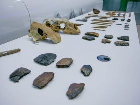 Подведены итоги морской арктической экспедиции в заповедник «Медвежьи острова»