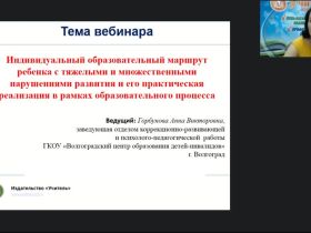 Международный вебинар "Индивидуальный образовательный маршрут ребенка с тяжелыми и множественными нарушениями развития и его практическая реализация в рамках образовательного процесса"