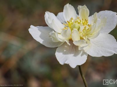 Что можно и нельзя делать 21 июня 2024 года: народные приметы и традиции