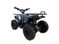 Электроквадроцикл MOTAX Grizlik X16 New E1000 Big Wheel